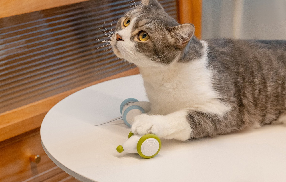 cheerble wicked mouse plus