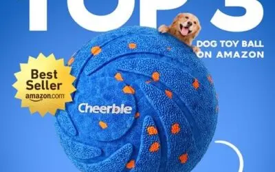 Okos kutyalabda otthonra?