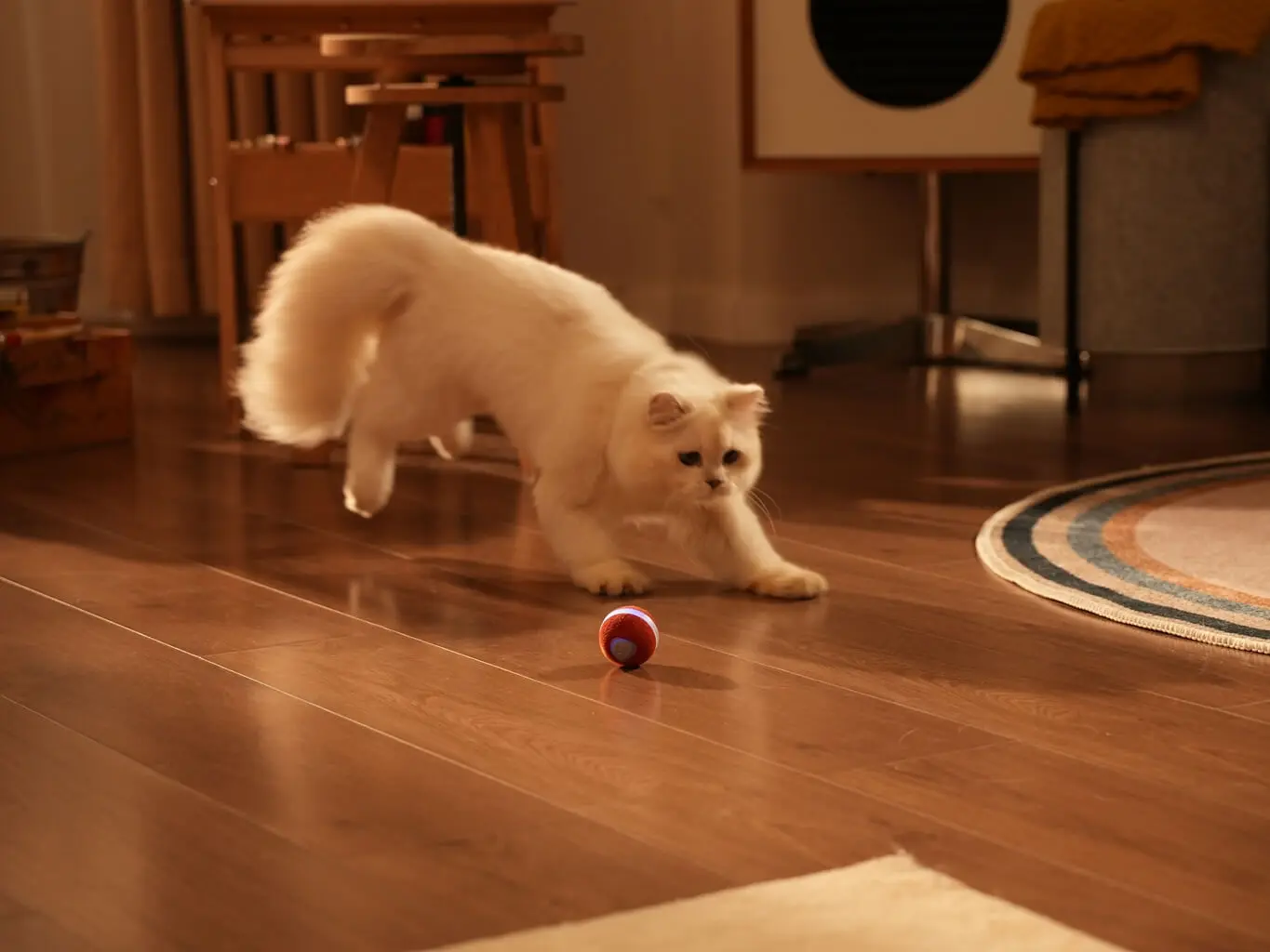 Ceheerble M3 okos labda 5