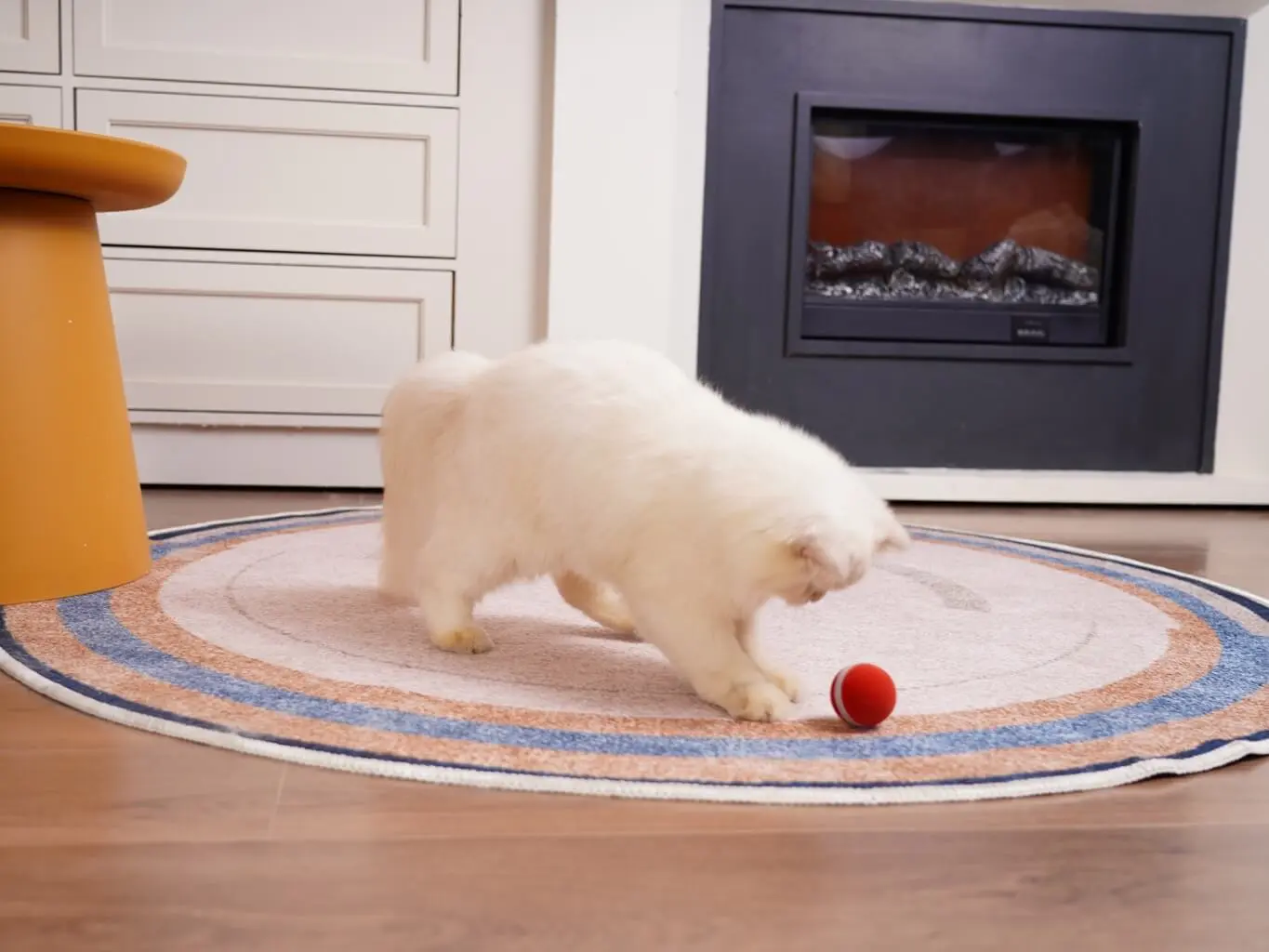 Ceheerble M3 okos labda 6