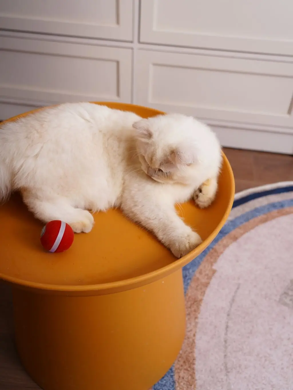 Ceheerble M3 okos labda 7