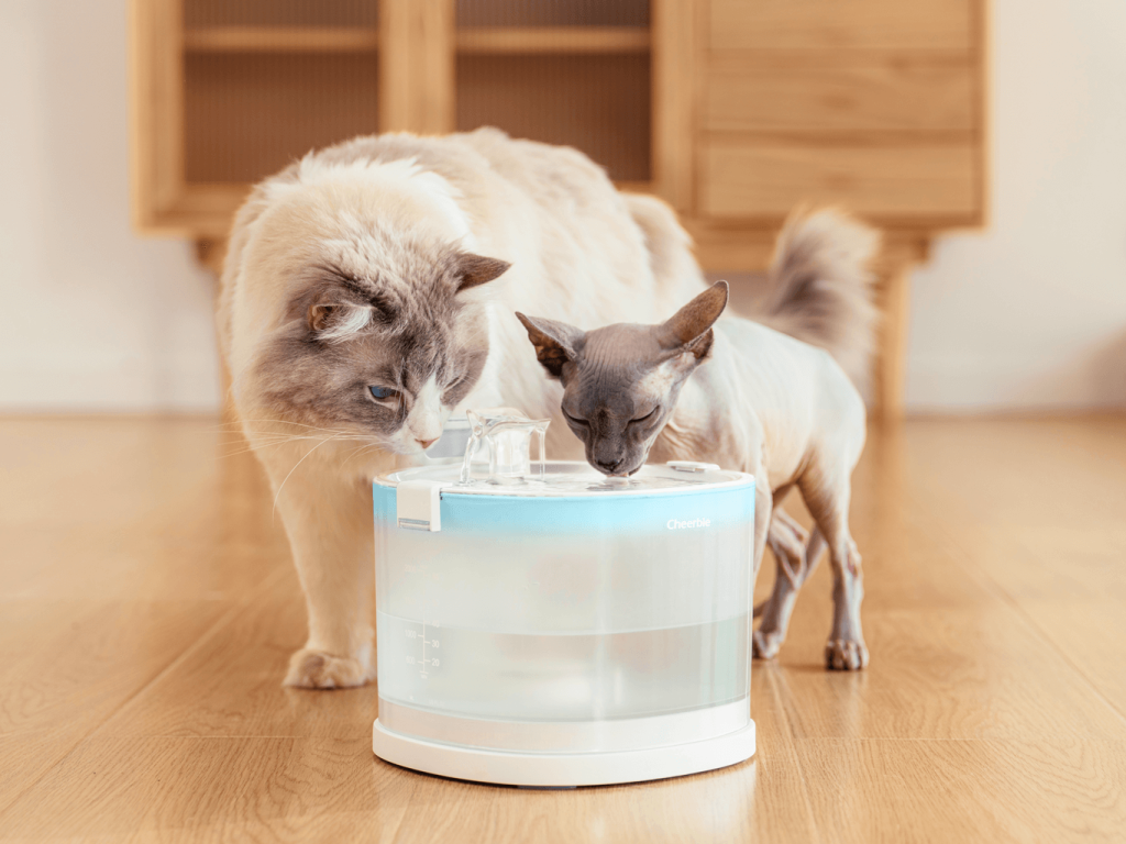 Vidám kisállat szökőkút Elfin E1_2