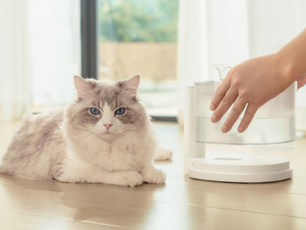 Vidám kisállat szökőkút Elfin E1_5