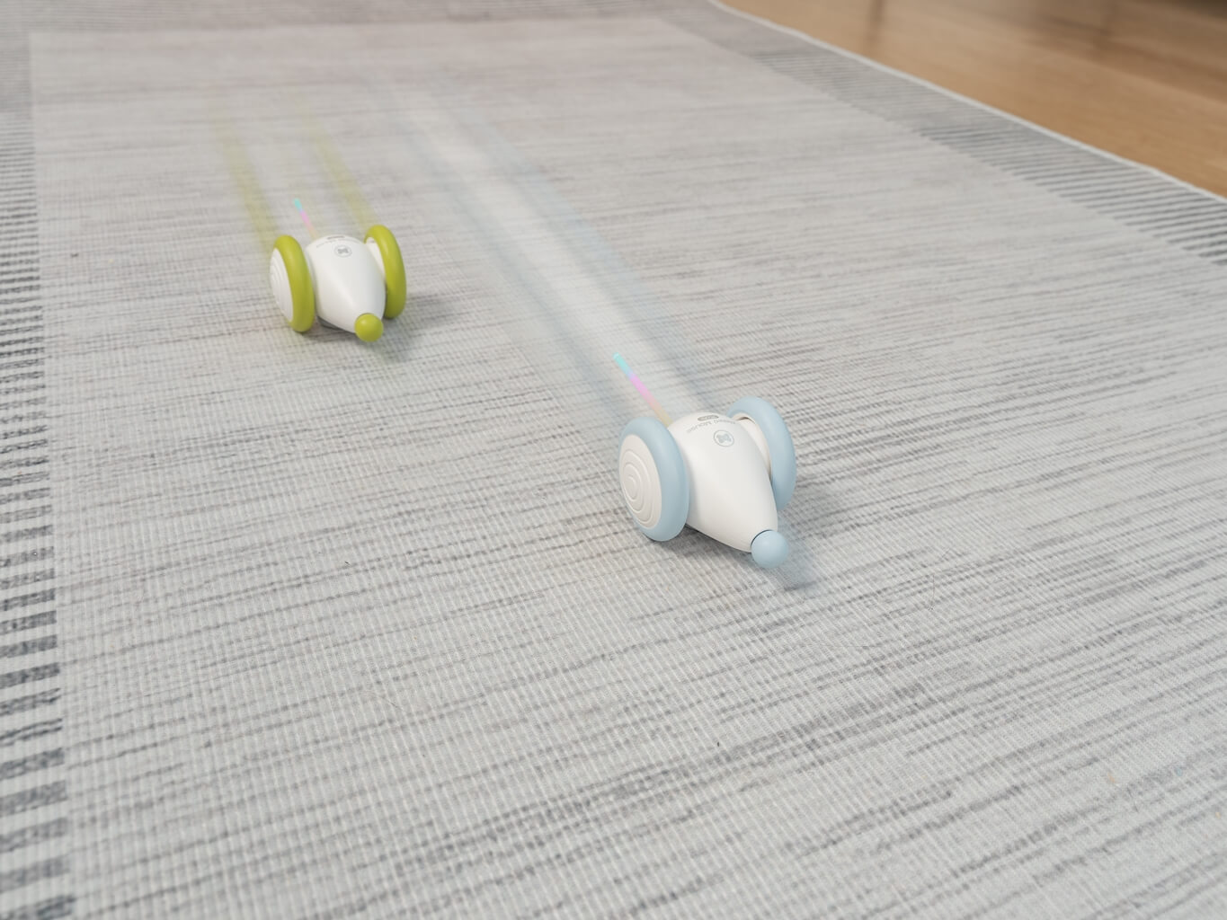 cheerble wicked mouse plus