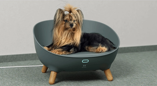 fűtött kisállatfekhely petoneer 2