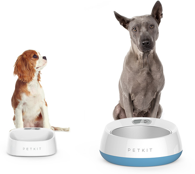 petkit smart etetőtál