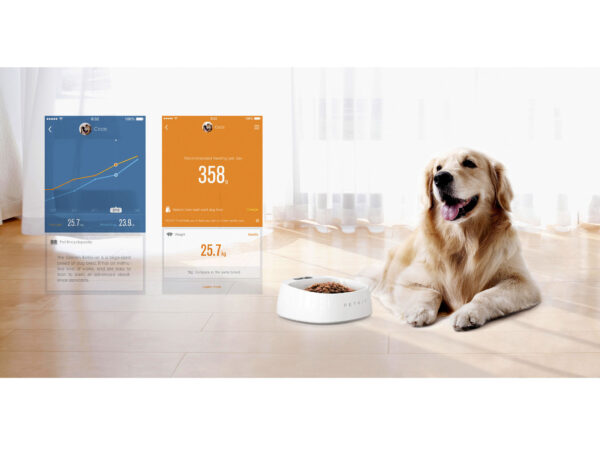 petkit smart etetőtál
