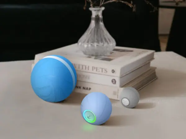 Wicked Ball SE Cheerble 1
