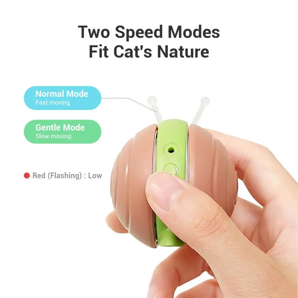 Wicked snail cheerble 4