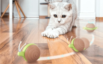 Okos cicajáték, Cheerble Wicked Snail előnyei