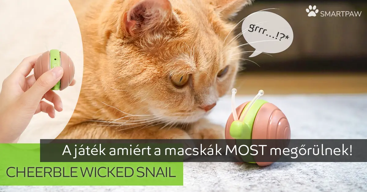 smartpaw cicajátékok