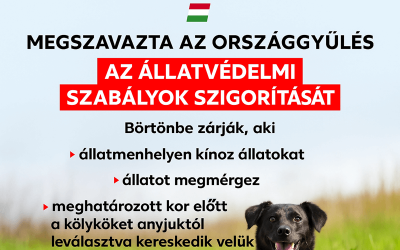 Állatvédelmi törvény 2025 – új szabályok az állatkínzás ellen