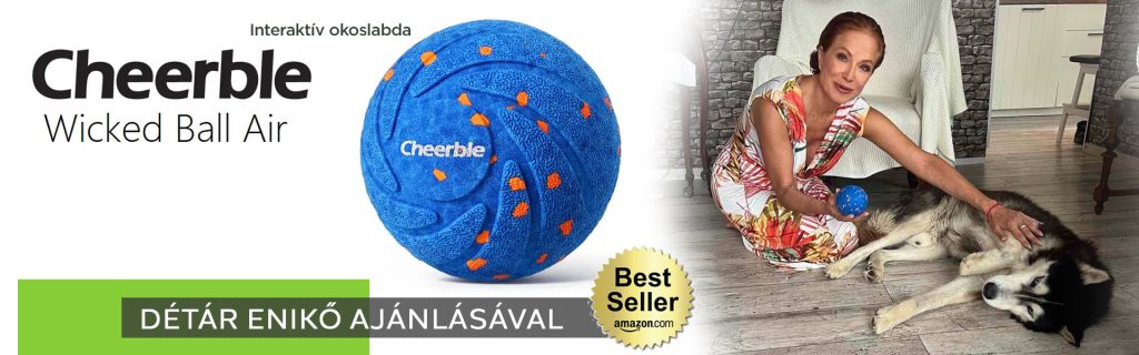 cheerble wicked ball air slider