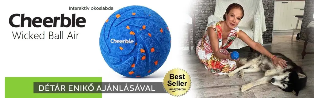 cheerble wicked ball air slider