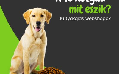 Kutyakajás webshopok Magyarországon