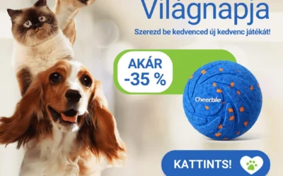 Állatok világnapja – Ünnepeld akciókkal, játékokkal és szeretettel